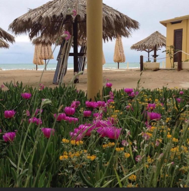 Hotel Cerrano ซิลวี มารีน่า ภายนอก รูปภาพ