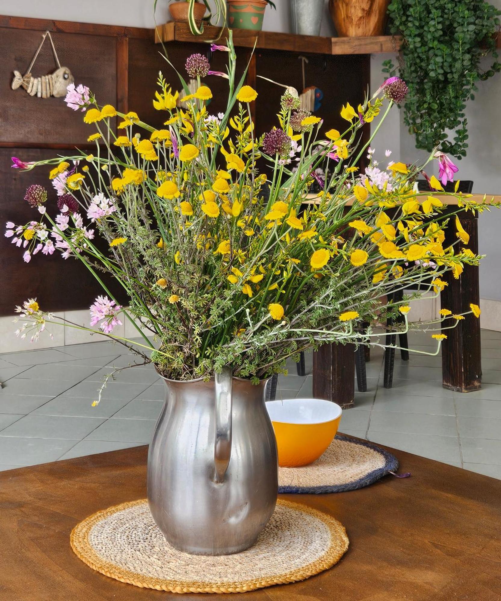 Hotel Cerrano ซิลวี มารีน่า ภายนอก รูปภาพ